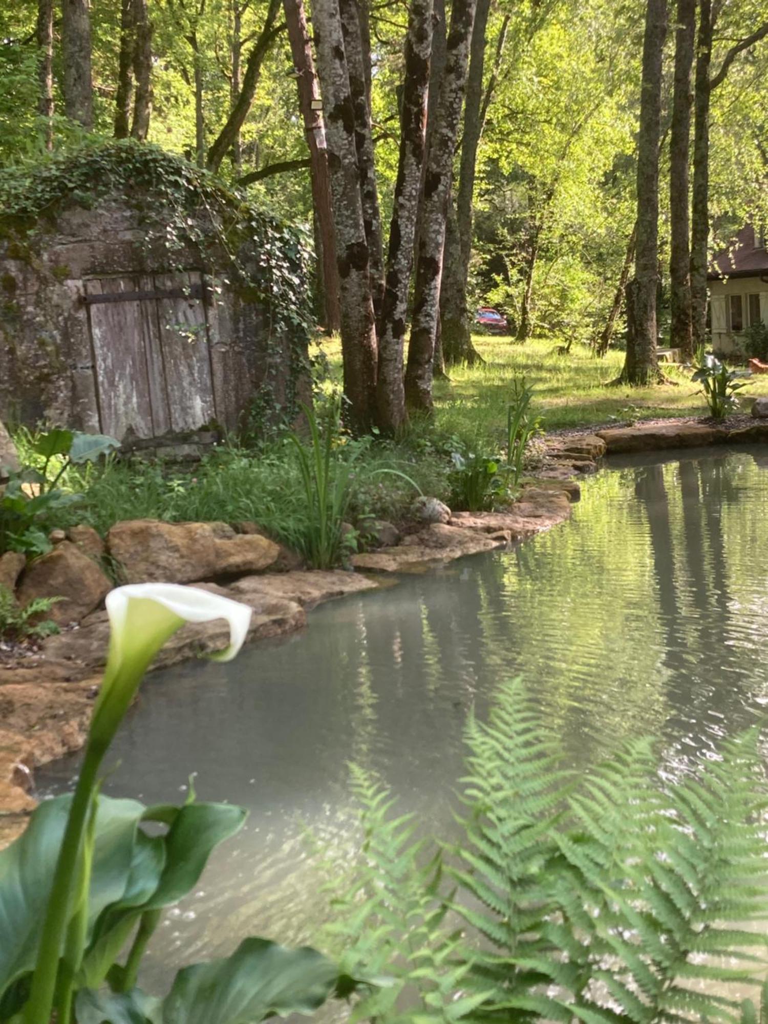Les Bois De Ravel Chambres D'Hotes ภายนอก รูปภาพ